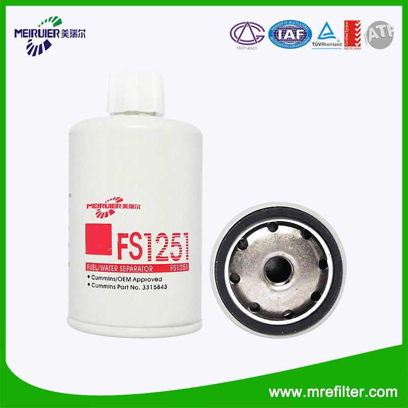 H179wk Fuel Filter for Daf Car Auto Spare Parts Fs1251