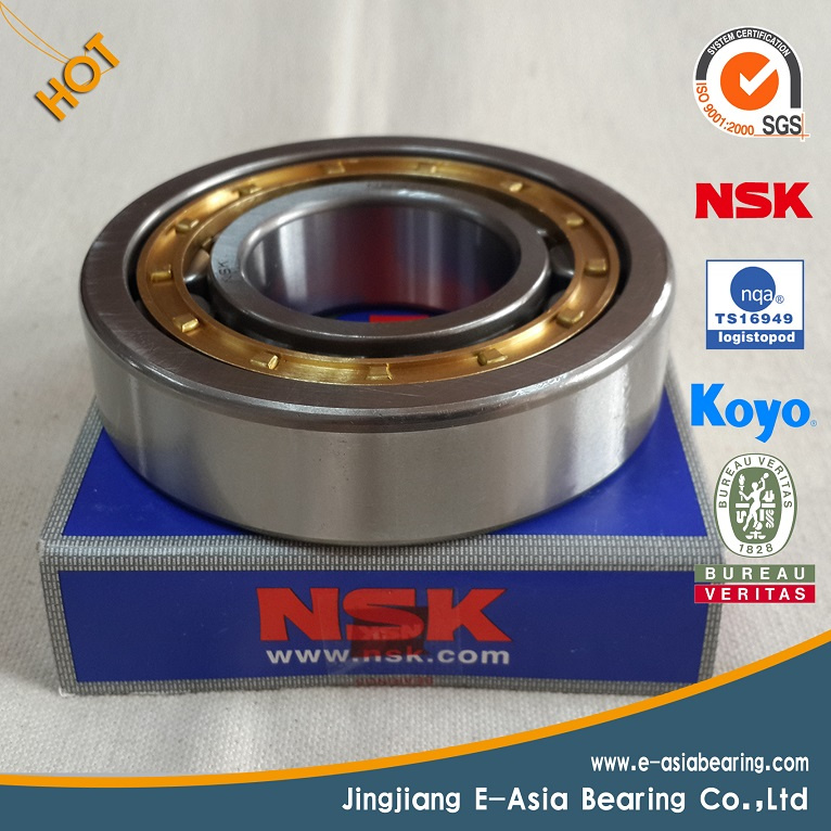 Made in China Nylon Bearing