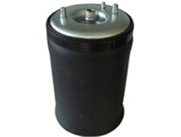 Top Sales Rear Air Shock Absorber for BMW E53 Rear