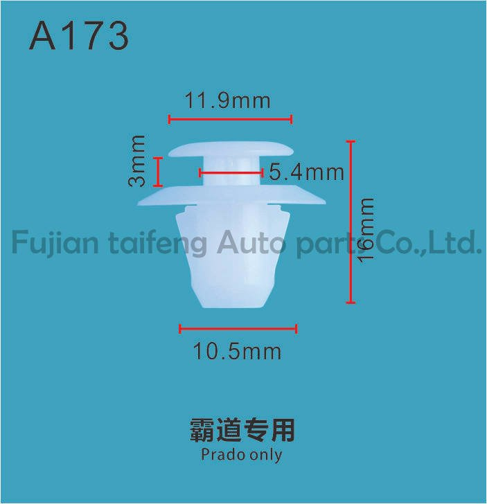 Small Plastic Clips for Auto Parts Accessory