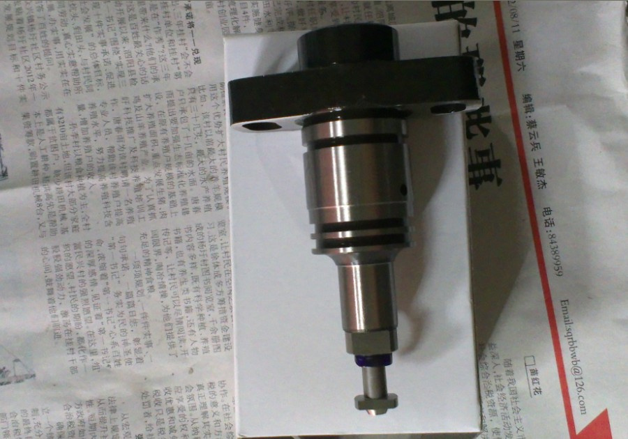 Diesel Engine Parts Plunger (090150-5673 090150-6490)