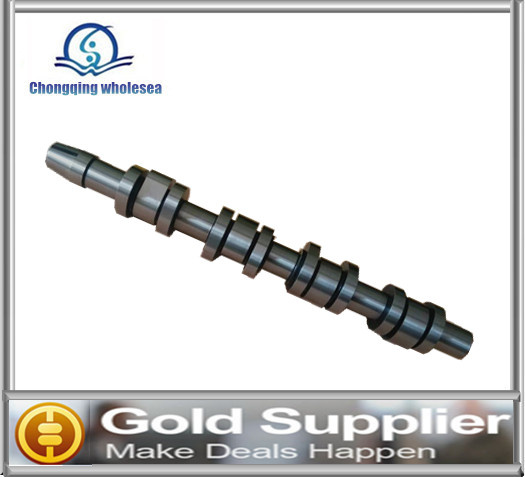 Camshaft OEM 03G09102b Camshaft Outlet for Audi/VW Seat Skoda 2.0 Tdi Bkd