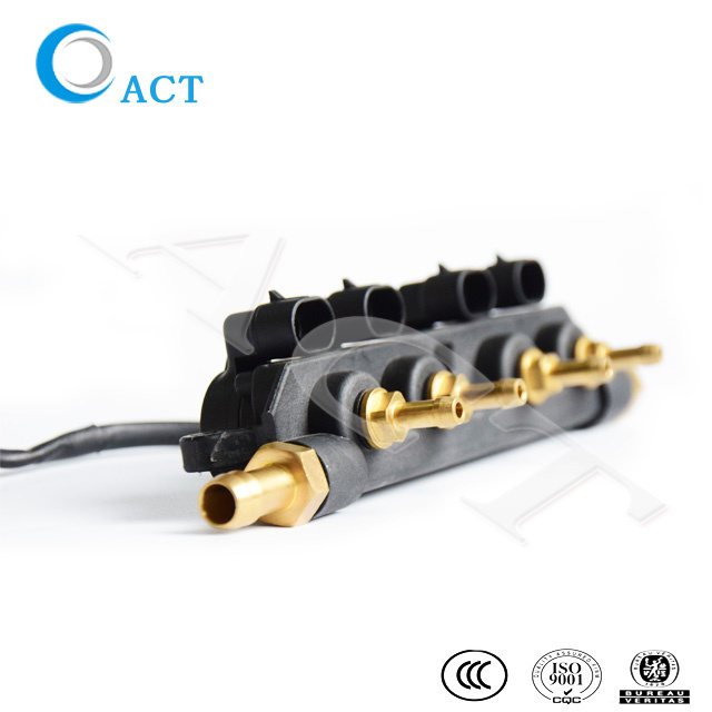 CNG LPG Common Injector Rail High Pressure Fuel Gas Injector