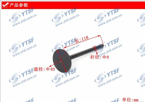 High Quality Jmc Truck Parts Inlet Valve