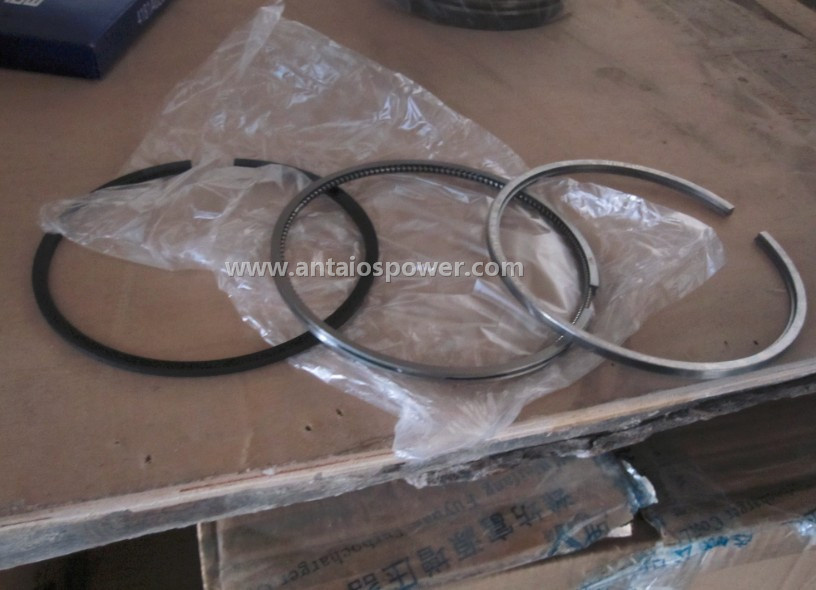 Piston Rings Kits --Deutz 912/913 1013/1015 2012 226