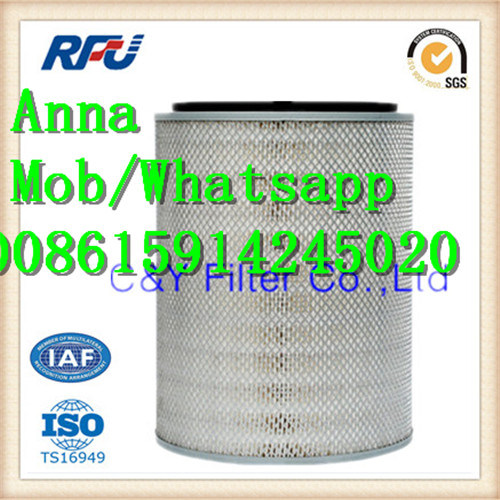 1907695 2996127 Air Filter for Iveco (1907695, 2996127)