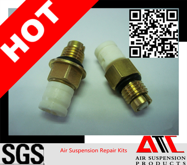 Air Spring Suspension Repair Kit