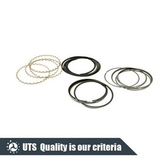Car Parts Accessories Piston Ring for Chevrolet Aveo 93742293
