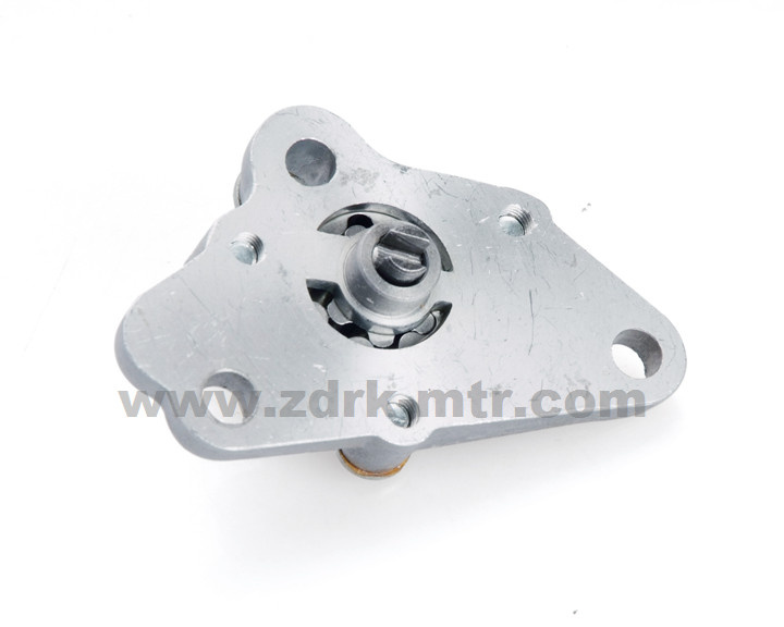 Motrocycle Spare Part Oil Pump Assy for C100/C110 Motorcycle