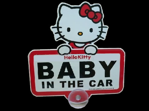 Baby in The Car Sign