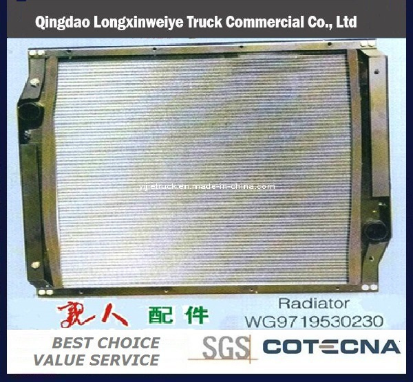Full Range China Truck Parts HOWO Truck Parts -Radiator