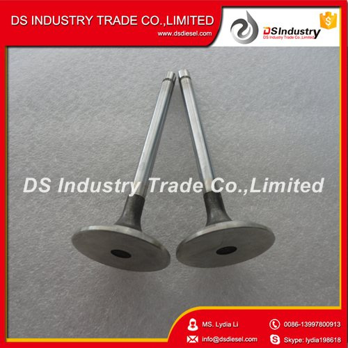 Yc6108zqb Yuchai A3000-1007011 Intake Valve