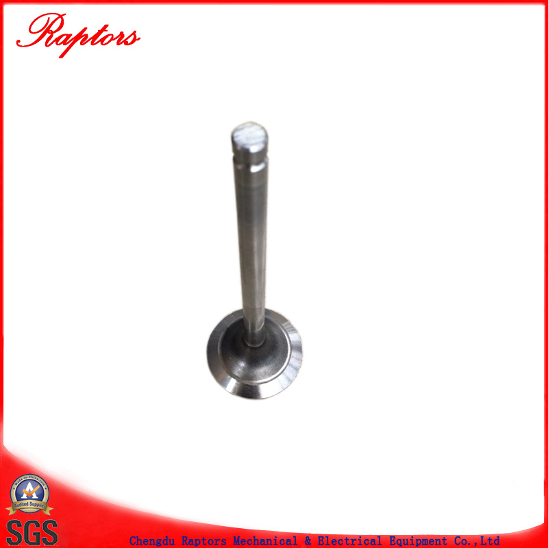 Cummins Bfcec Engine Exhaust Valve (3696843) for Isg Isf Engine