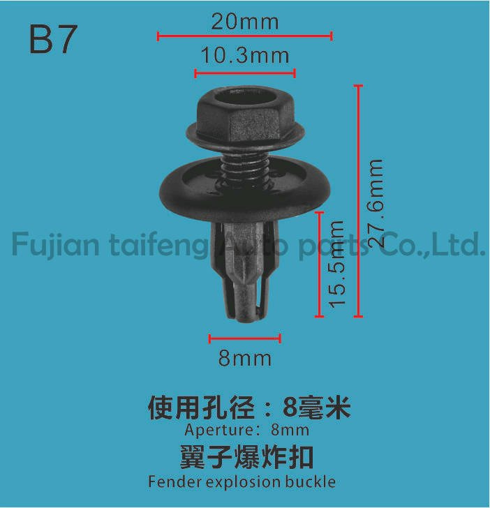Ford Auto Fastener Plastic Clips of China Manufacturer