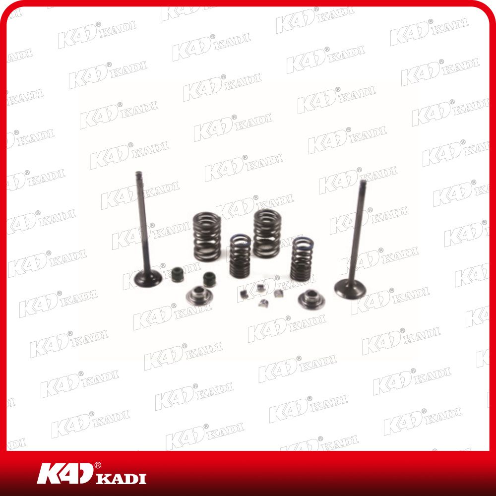 Kadi Motorcycle Parts Motorcycle Engine Valve FT110