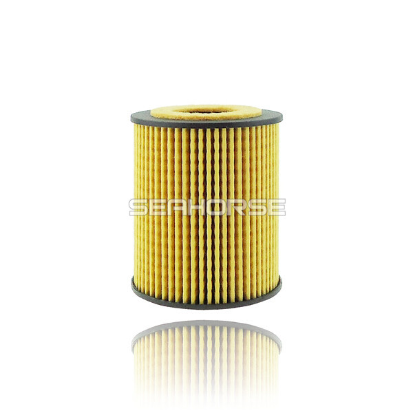 21018826 China Auto Oil Filter for Cadillac/Opel Automotive Car
