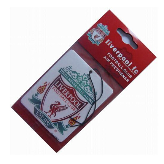 Popular Hanging Paper Card Air Freshener / Scented Paper / Perfume Paper