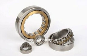 Cylindrical Roller Bearing N204, Nj204, Nu204, N304, Nj304, Nu304