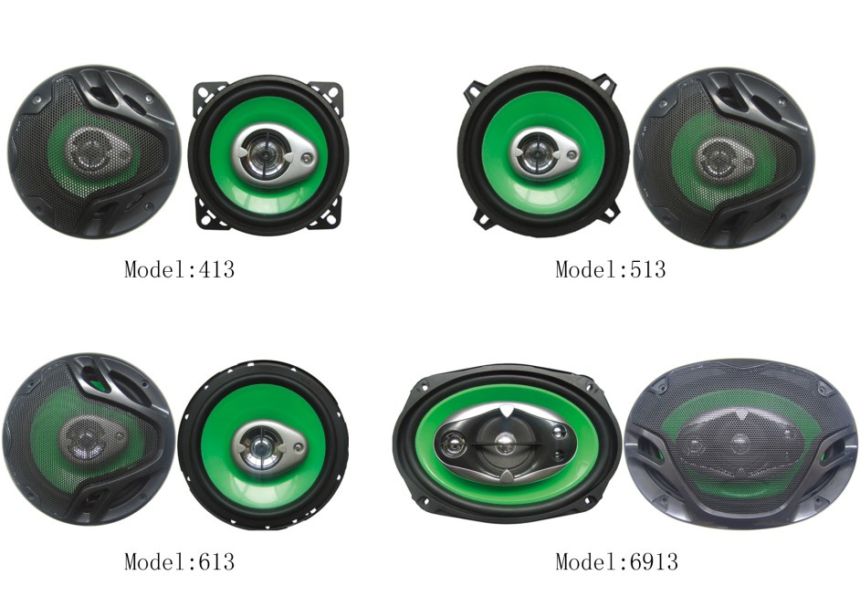 Audio Loud Speaker Subwoofer / Car Speaker/Speaker