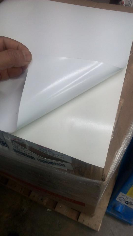 Super Quality Solvent Adhesive Vinyl for Warpping Vehicle