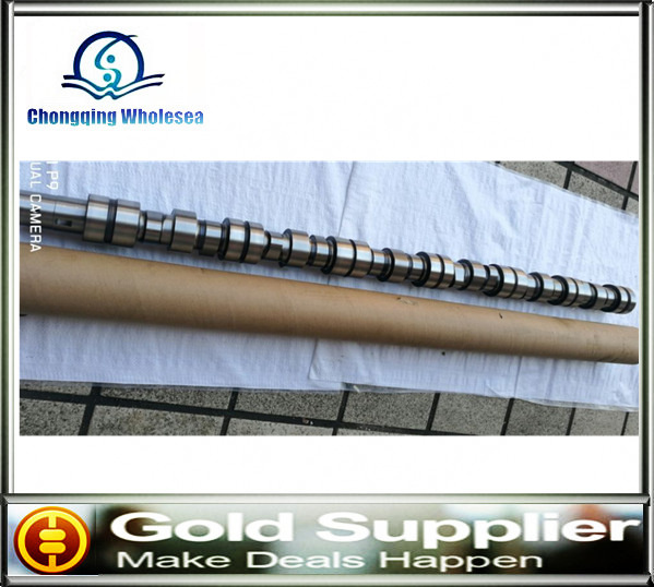 Auto Spare Parts Car OEM 3800855 Camshaft for Cummins N14