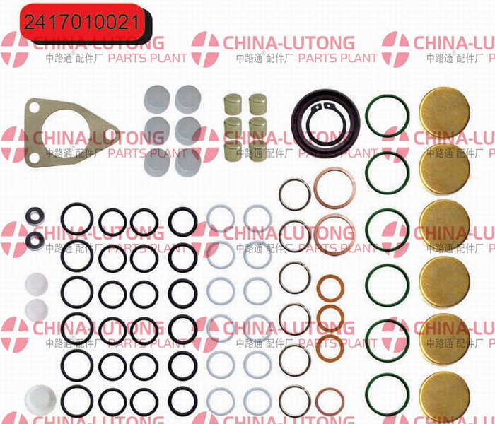 Rebuild Kits for Ve Pump-Ve Pump Gasket OEM 2 417 010 021