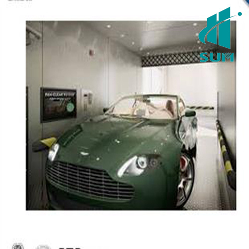 Car Elevator for Villa Stable
