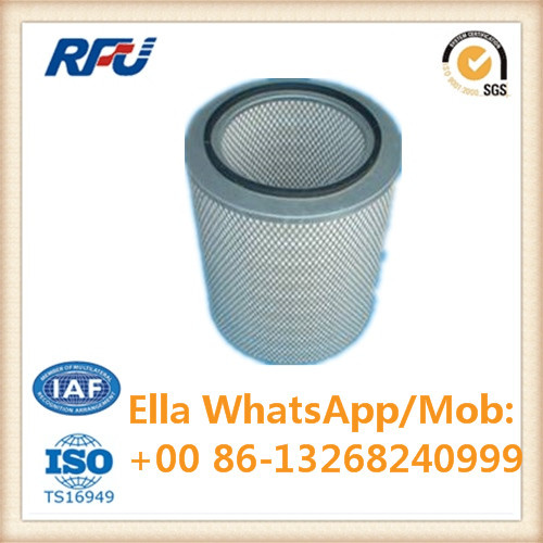 P55-1575 High Quality Air Filter for Nissan