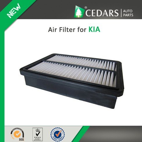 China Auto Parts Quality Supplier Air Filter for KIA