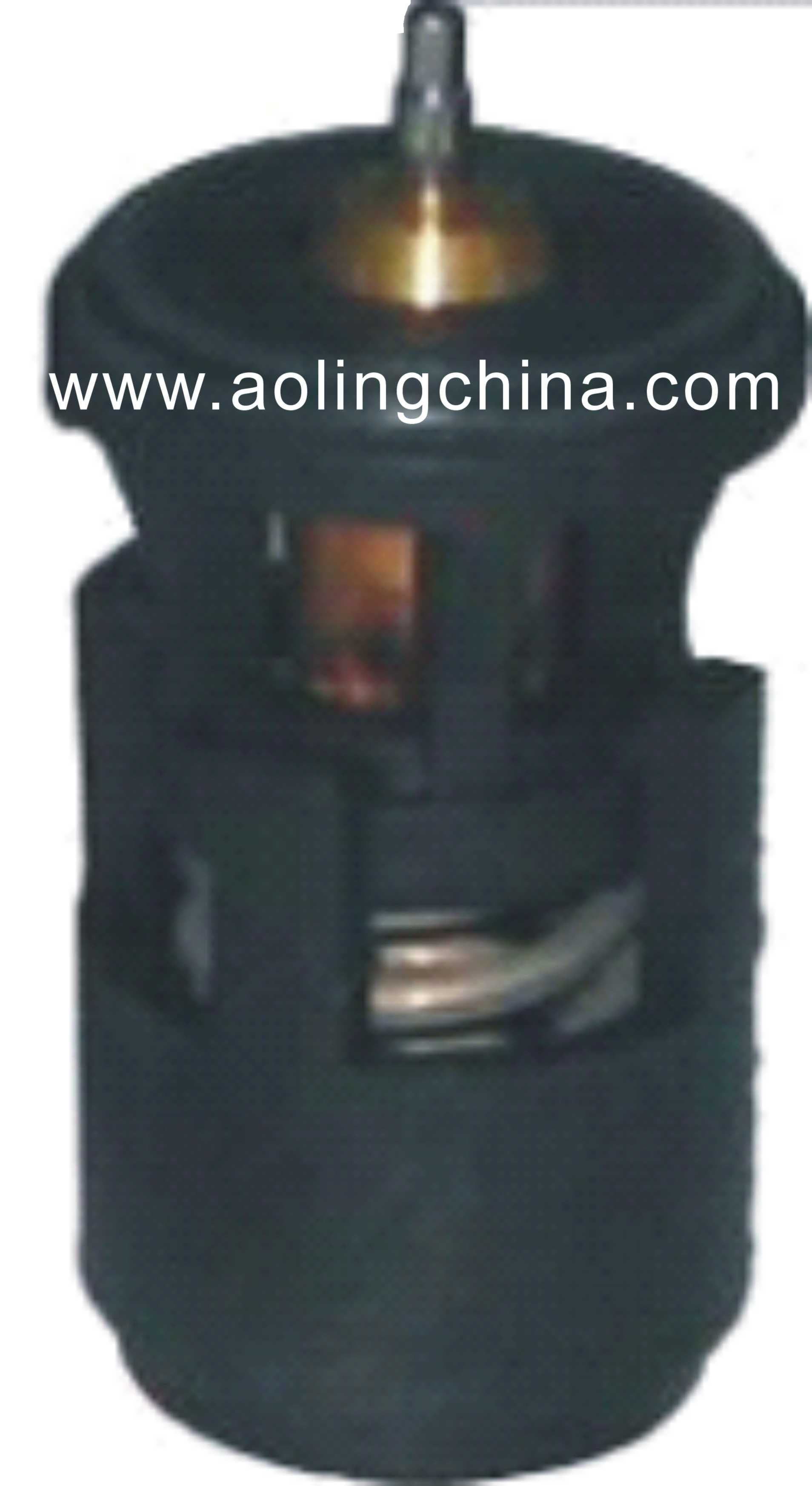 Thermostat for Volkswagen (32 121 110B)