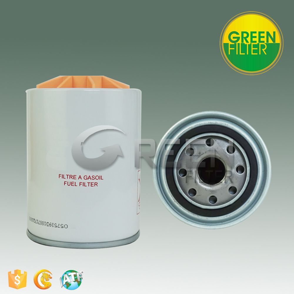 Fuel/Water Filter for Auto Parts (FS19805)