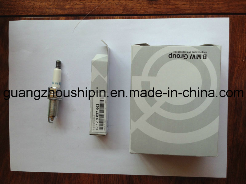 Germany Car Platinum Spark Plug 12120037663 Lzfr6ap11GS