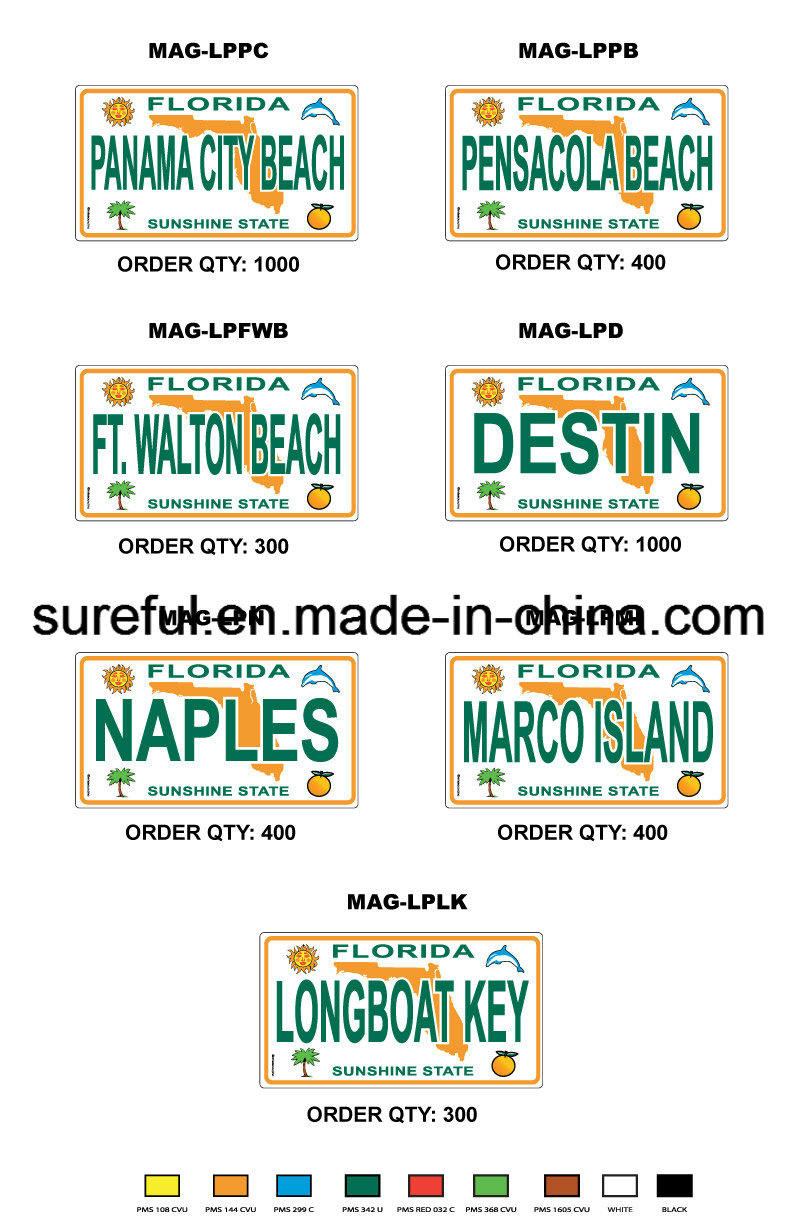 Magnet License Plate