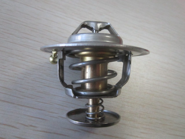 Thermostat (87803664)