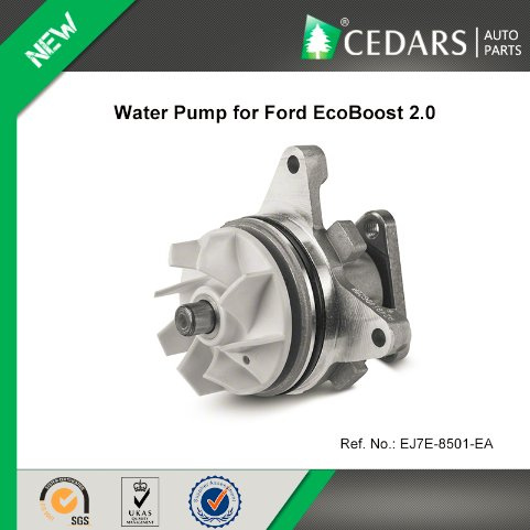 Water Pump for Ford Ecoboost 2.0 Parts Ej7e-8501-Ea