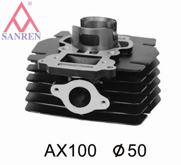 Motorcycle Cylinder Block (AX100)