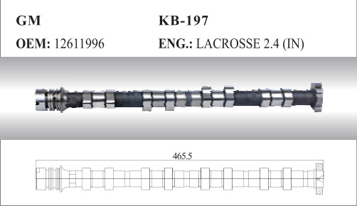 Auto Camshaft for GM (12611996)