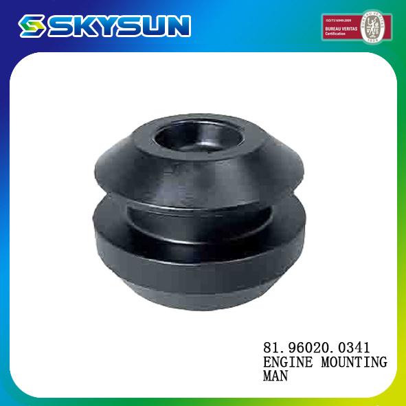 Truck Auto Spare Parts 81.96020.0341 Rubber Bushing/Bush for Man