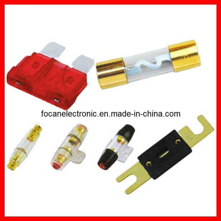 Car Blade Fuse & Auto Plug-in Fuse & Car Fuse Holder