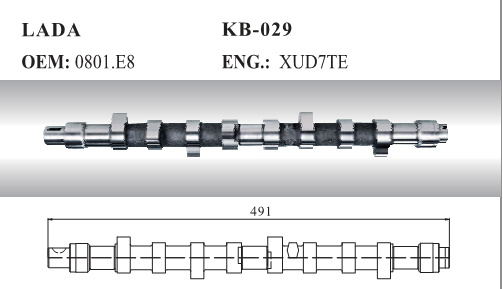 Auto Camshaft for Lada and Peugeot (0801. E8)