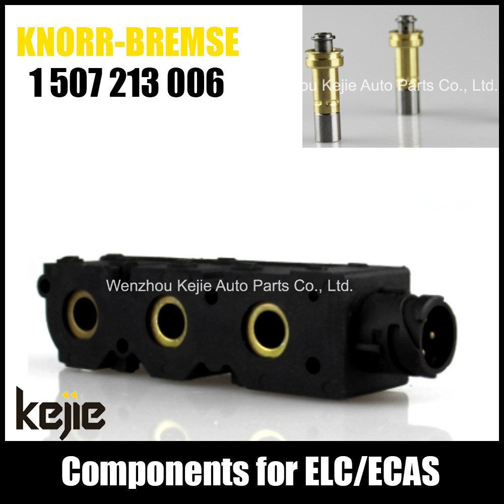 Ecas Elc Solenoid Valve Coil 1507213006 for Truck
