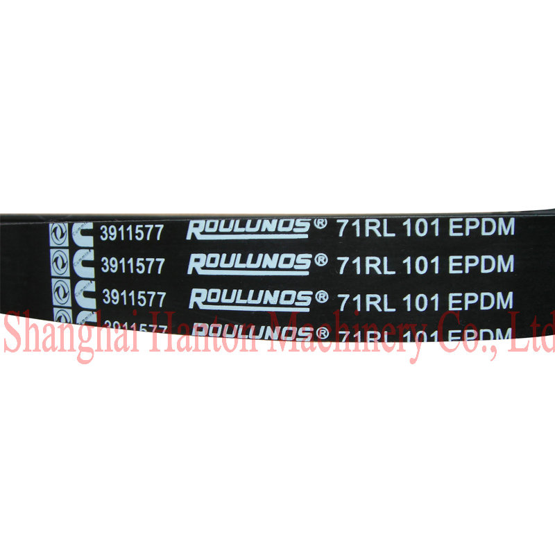 Cummins 6CT Diesel Engine Part 3911577 Belt V Ribbed