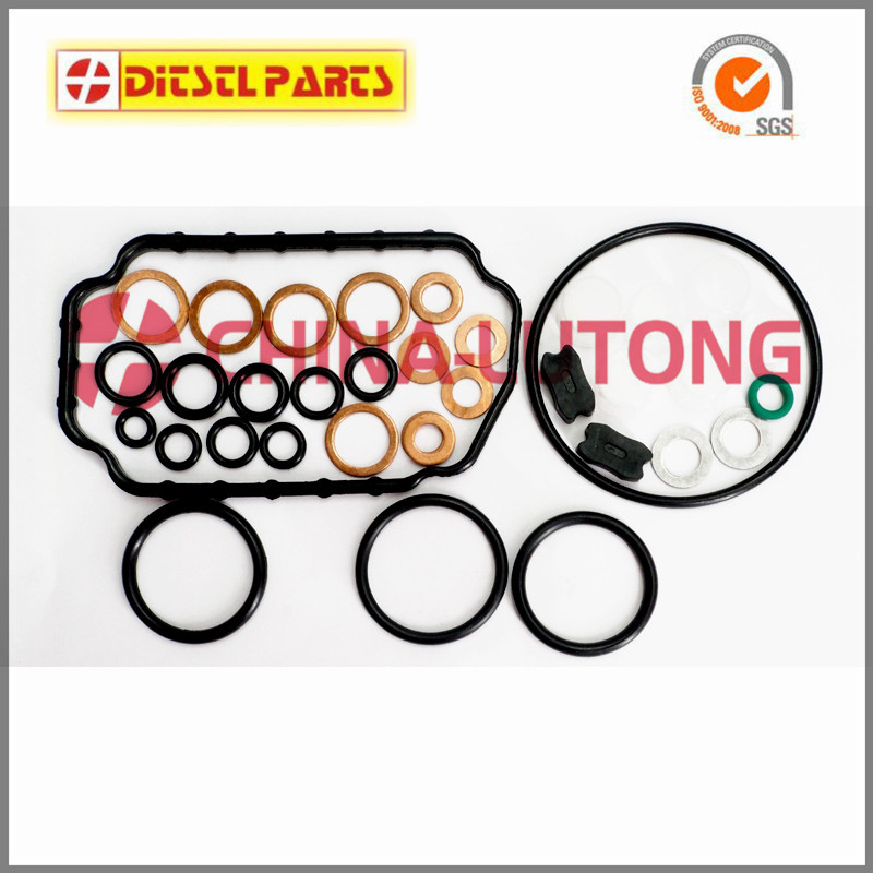 Repair Kits for Ve Pumps-Diesel Fuel Pump Rebuild Kits