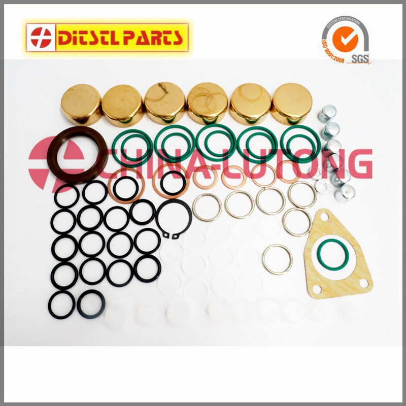 Ve Bosch Injector Pump Seal Kit-Diesel Injector Pump Suppliers