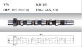 Auto Camshaft for VW (059.109.021q)