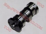 Motorcycle Parts Motorcycle Camshaft Moto Shaft Cam for An125 An150