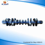 Truck Parts Crankshaft for Steyr Wd615 (67, 68) 61500020012 61560020029