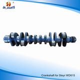 Truck Parts Crankshaft for Steyr Wd615 (67, 68) 61500020012 61560020029