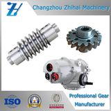 Gear Used for Car Actuators