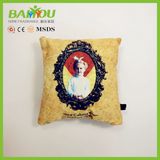 Aroma Scented Cushion